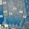 SUMMER COLLECTION MUSHQ - Image 2